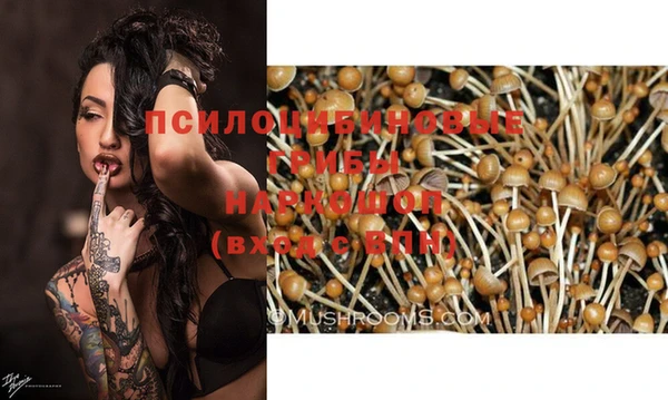 альфа пвп Осташков